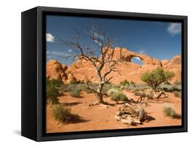 Skyline Arch, Arches National Park, Utah, USA-Jamie & Judy Wild-Framed Stretched Canvas