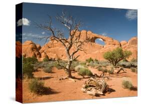 Skyline Arch, Arches National Park, Utah, USA-Jamie & Judy Wild-Stretched Canvas