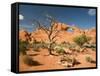 Skyline Arch, Arches National Park, Utah, USA-Jamie & Judy Wild-Framed Stretched Canvas