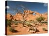 Skyline Arch, Arches National Park, Utah, USA-Jamie & Judy Wild-Stretched Canvas