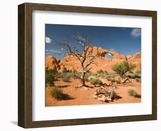 Skyline Arch, Arches National Park, Utah, USA-Jamie & Judy Wild-Framed Photographic Print