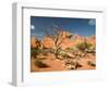 Skyline Arch, Arches National Park, Utah, USA-Jamie & Judy Wild-Framed Photographic Print