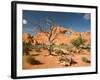 Skyline Arch, Arches National Park, Utah, USA-Jamie & Judy Wild-Framed Photographic Print