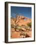 Skyline Arch, Arches National Park, Utah, USA-Jamie & Judy Wild-Framed Photographic Print