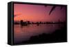 Skyline at Sunset in Miami, Florida-Amanda Clement-Framed Stretched Canvas