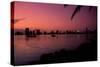 Skyline at Sunset in Miami, Florida-Amanda Clement-Stretched Canvas