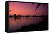 Skyline at Sunset in Miami, Florida-Amanda Clement-Framed Stretched Canvas