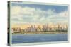 Skyline, Chicago, Illinois-null-Stretched Canvas