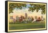 Skyline, Dallas, Texas-null-Framed Stretched Canvas