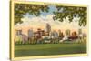 Skyline, Dallas, Texas-null-Stretched Canvas