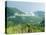Skyline Drive, Shenandoah National Park, Virginia, USA-Ethel Davies-Stretched Canvas
