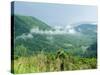 Skyline Drive, Shenandoah National Park, Virginia, USA-Ethel Davies-Stretched Canvas