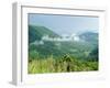 Skyline Drive, Shenandoah National Park, Virginia, USA-Ethel Davies-Framed Photographic Print