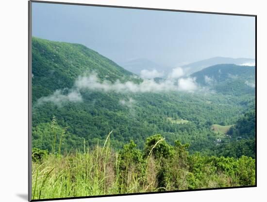 Skyline Drive, Shenandoah National Park, Virginia, USA-Ethel Davies-Mounted Photographic Print