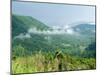 Skyline Drive, Shenandoah National Park, Virginia, USA-Ethel Davies-Mounted Photographic Print