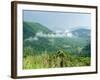 Skyline Drive, Shenandoah National Park, Virginia, USA-Ethel Davies-Framed Photographic Print