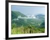 Skyline Drive, Shenandoah National Park, Virginia, USA-Ethel Davies-Framed Photographic Print