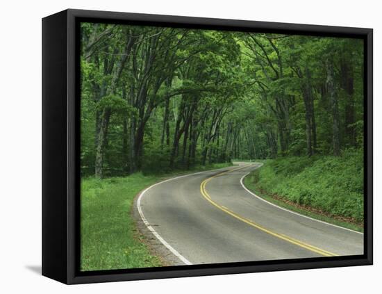 Skyline Drive, Shenandoah National Park, Virginia, USA-Charles Gurche-Framed Stretched Canvas