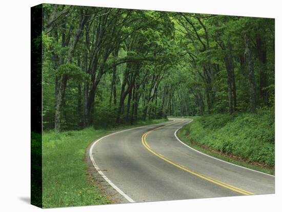 Skyline Drive, Shenandoah National Park, Virginia, USA-Charles Gurche-Stretched Canvas