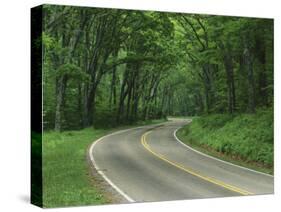 Skyline Drive, Shenandoah National Park, Virginia, USA-Charles Gurche-Stretched Canvas