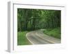 Skyline Drive, Shenandoah National Park, Virginia, USA-Charles Gurche-Framed Photographic Print