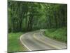 Skyline Drive, Shenandoah National Park, Virginia, USA-Charles Gurche-Mounted Photographic Print