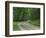 Skyline Drive, Shenandoah National Park, Virginia, USA-Charles Gurche-Framed Photographic Print
