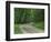 Skyline Drive, Shenandoah National Park, Virginia, USA-Charles Gurche-Framed Photographic Print