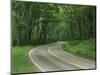 Skyline Drive, Shenandoah National Park, Virginia, USA-Charles Gurche-Mounted Photographic Print