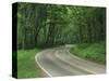 Skyline Drive, Shenandoah National Park, Virginia, USA-Charles Gurche-Stretched Canvas