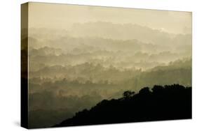 Skyline Drive, Shenandoah National Park, Virginia-null-Stretched Canvas