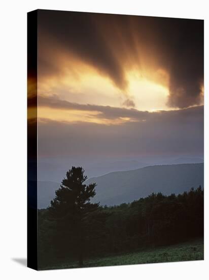 Skyline Drive View, Shenandoah National Park, Virginia, USA-Charles Gurche-Stretched Canvas