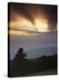 Skyline Drive View, Shenandoah National Park, Virginia, USA-Charles Gurche-Stretched Canvas