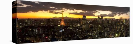 Skyline from Shiodome, Tokyo, Japan-Jon Arnold-Stretched Canvas