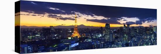 Skyline from Shiodome, Tokyo, Japan-Jon Arnold-Stretched Canvas