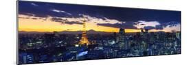 Skyline from Shiodome, Tokyo, Japan-Jon Arnold-Mounted Photographic Print