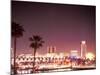 Skyline from the Park at Long Beach Harbor, Long Beach, California, USA-Brent Bergherm-Mounted Photographic Print