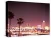 Skyline from the Park at Long Beach Harbor, Long Beach, California, USA-Brent Bergherm-Stretched Canvas