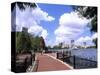 Skyline from Walkway by Lake Eola, Orlando, Florida-Bill Bachmann-Stretched Canvas