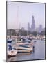 Skyline Including Sears Tower, Chicago, Illinois-Alan Copson-Mounted Photographic Print