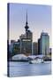 Skyline of Auckland, North Island, New Zealand, Pacific-Michael-Stretched Canvas