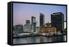 Skyline of Auckland, North Island, New Zealand, Pacific-Michael-Framed Stretched Canvas