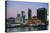 Skyline of Auckland, North Island, New Zealand, Pacific-Michael-Stretched Canvas