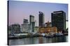 Skyline of Auckland, North Island, New Zealand, Pacific-Michael-Stretched Canvas