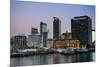 Skyline of Auckland, North Island, New Zealand, Pacific-Michael-Mounted Photographic Print