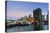 Skyline of Auckland, North Island, New Zealand, Pacific-Michael-Stretched Canvas