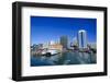 Skyline of Auckland, North Island, New Zealand, Pacific-Michael-Framed Photographic Print