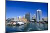 Skyline of Auckland, North Island, New Zealand, Pacific-Michael-Mounted Photographic Print