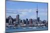 Skyline of Auckland, North Island, New Zealand, Pacific-Michael-Mounted Photographic Print
