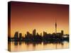 Skyline of Auckland, North Island, New Zealand-Doug Pearson-Stretched Canvas